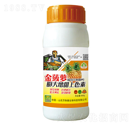 ���}���������ɫ-�f�ﴺ