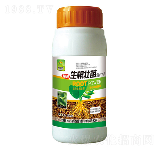 ���������(f��)�τ�-�f(w��n)�ﴺ