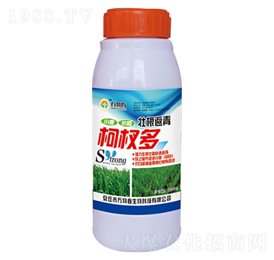 1000ml�Ѹ������辶�-�f�ﴺ