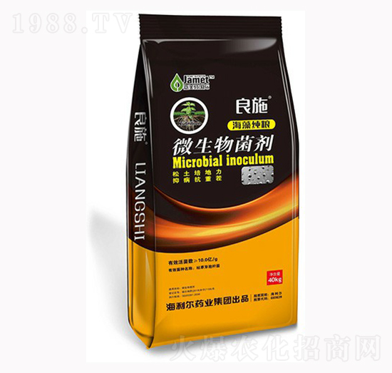 ��(f��)��΢�������-��ʩ-������