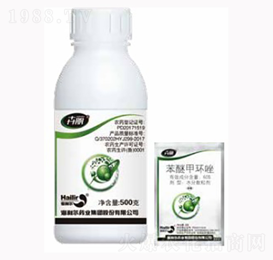 ����-������