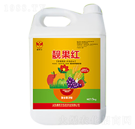 �n���t-���R��