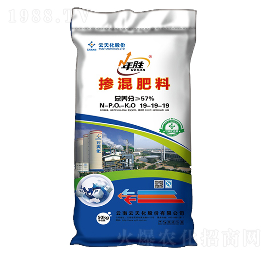 �������19-19-19-���-���o����