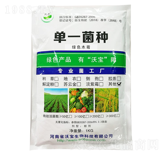 �Gɫľù-�֌�����