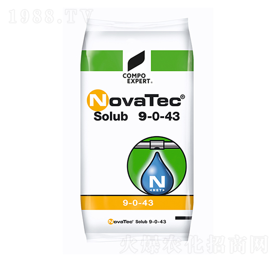 �����Z̩��9-0-43-����