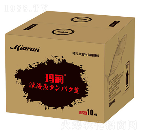 �ձ��M(j��n)���~����-����(r��n)-����