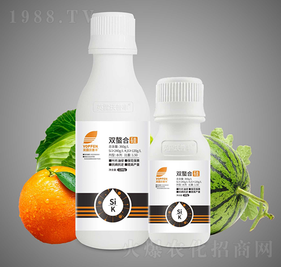 �p���Ϲ�-Ӣ¶�����S