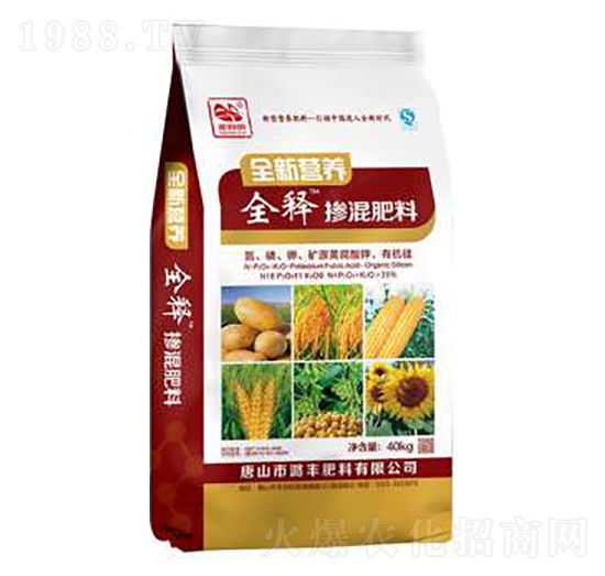 ȫ��?t��ng)I(y��ng)�B(y��ng)ȫጓ������-º�S����