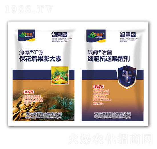 �������������-��(x��)�����憾�ф�-�n��-�n��ʘI(y��)