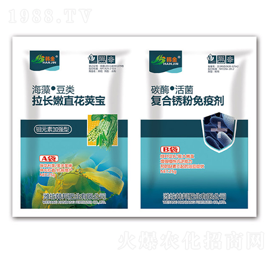 ���L��ֱ��Ӣ��+��(f��)���P�����߄�-�n��-�n��ʘI(y��)