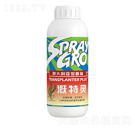 �����`-�����ط�