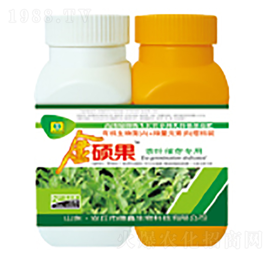 ���~��ѿ�����~���-��T��-��������