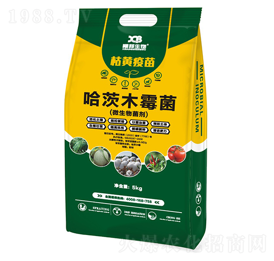 ����ľù��-���S����-�ذ�����