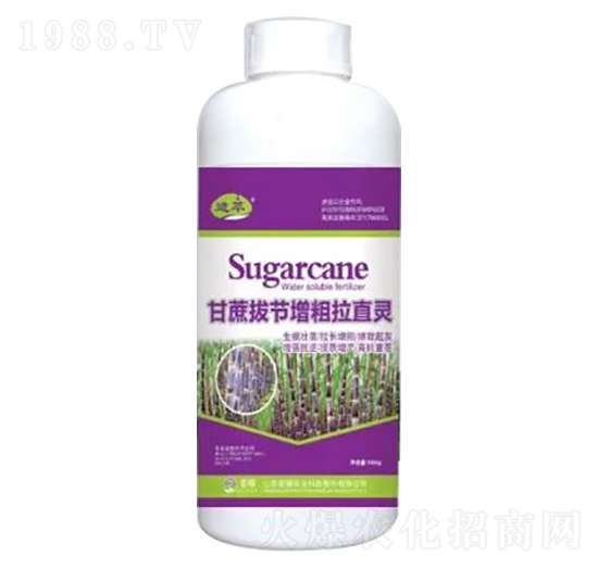 1000g����ι�(ji��)������ֱ�`-�sҫ�r(n��ng)�I(y��)