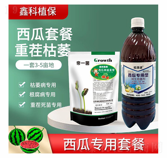 ���ό����ײ�-�ο�ֲ��