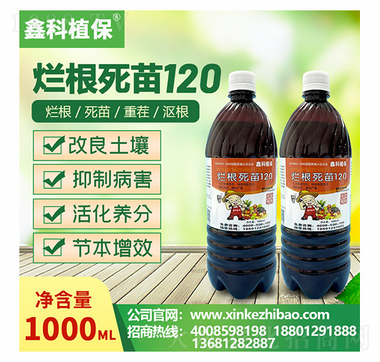 ��������120-�ο�ֲ��