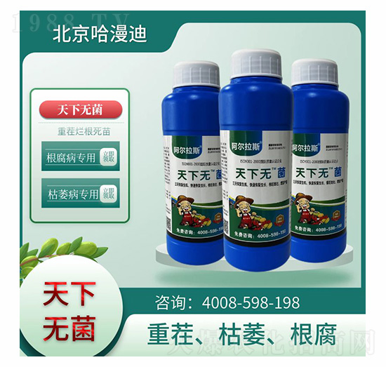 ���o��-�ο�ֲ��