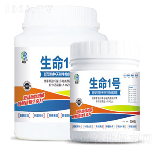 ����1̖-��ï����