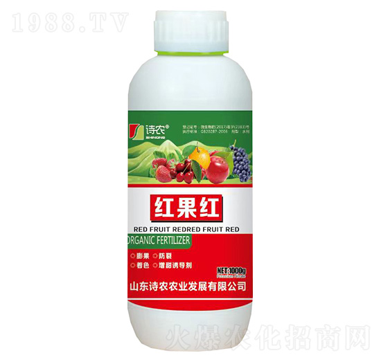 �t���t-Ԋ(sh��)�r(n��ng)-���A(li��n)��