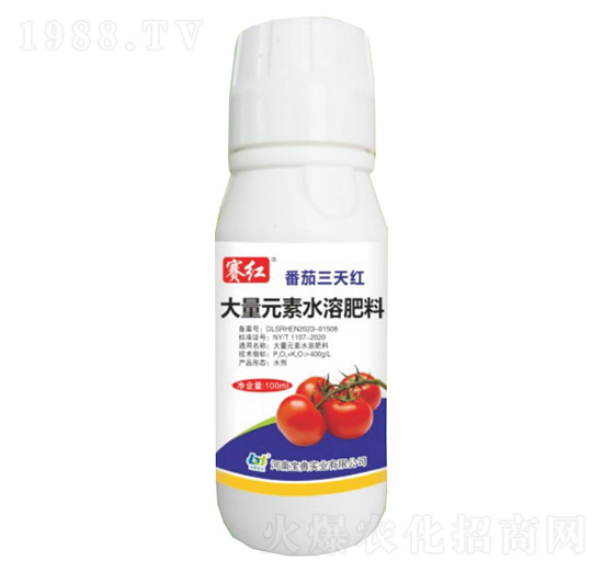 番茄三天紅-賽紅-寶典實業(yè)