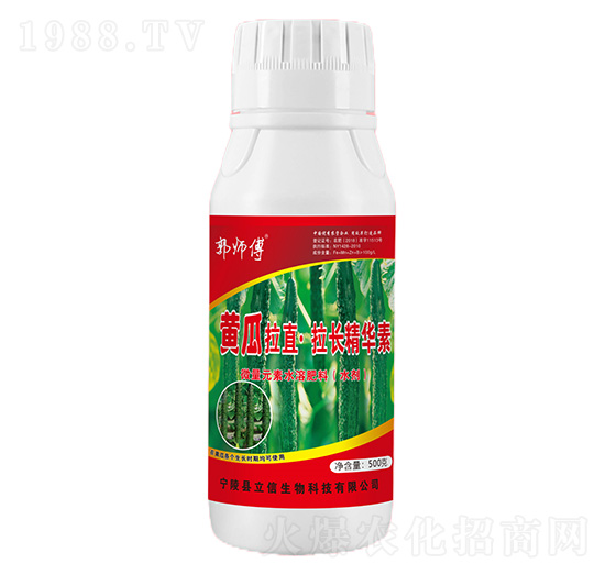 黃瓜拉直·拉長(zhǎng)精華素-郭師傅-立信生物