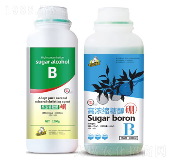 �ߝ�s�Ǵ���-��˹��