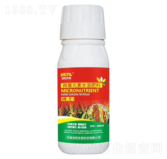 �t����-�������