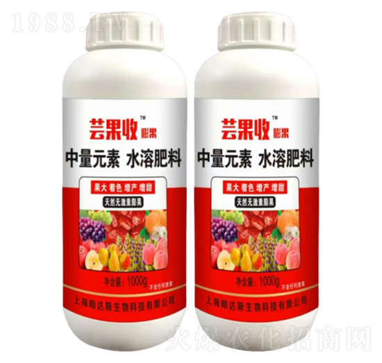 棗樹?；ū９?蕓果收-農(nóng)哥農(nóng)業(yè)