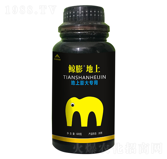 �L�����-����ú