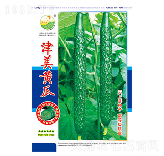 黃瓜種子-津美黃瓜-太樂(lè)種業(yè)