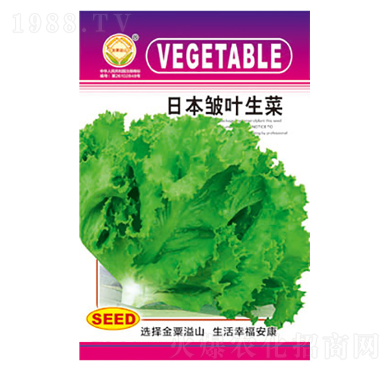 生菜種子-日本皺葉生菜-太樂(lè)種業(yè)