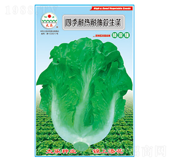 生菜種子-四季耐熱耐抽苔生菜-太樂(lè)種業(yè)
