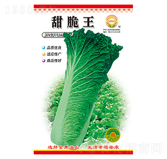 白菜種子-甜脆王-太樂種業(yè)