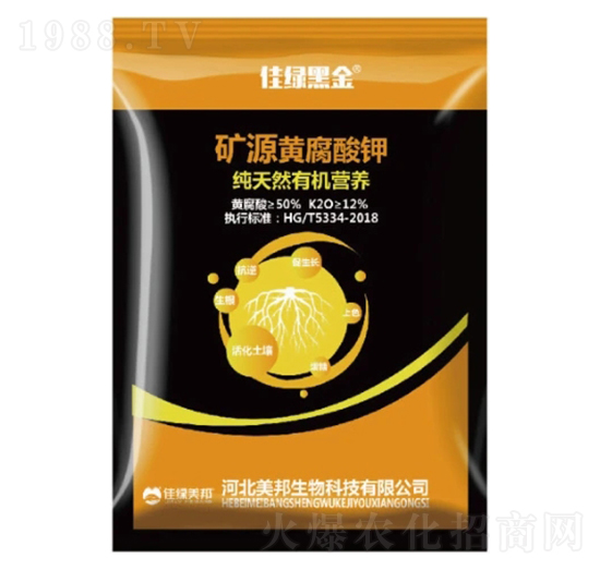 �VԴ�S�����-�ѾG�ڽ�-�����