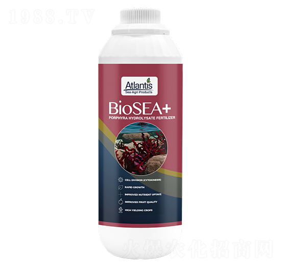 低溫生物酶解褐藻-藍鉑森