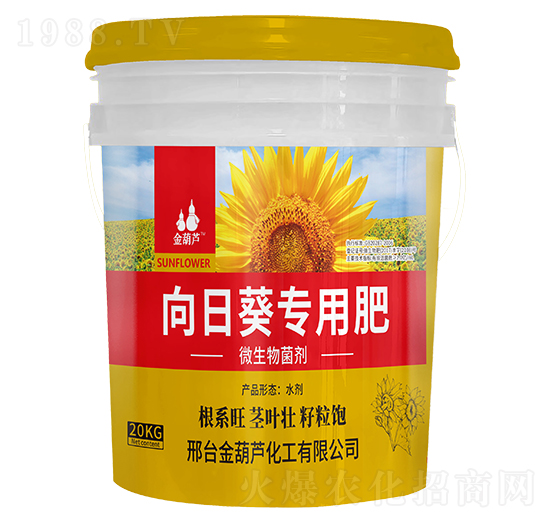 ���տ���(zhu��n)�÷�-����J