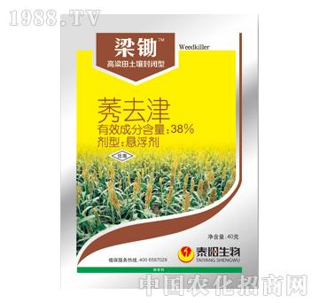 38%莠去津-梁鋤-泰陽(yáng)