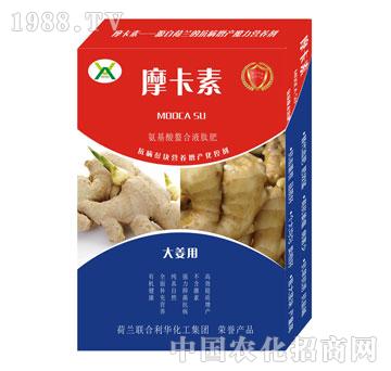 󽪌(zhun)ðҺķ-Ħ-(qing)о(gu)H