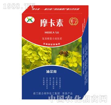 Ͳˌ(zhun)ðҺķ-Ħ-(qing)о(gu)H