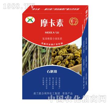 ʯ(zhun)ðҺķ-Ħ-(qing)о(gu)H