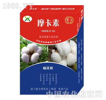 ޻(zhun)ðҺķ-Ħ-(qing)о(gu)H