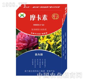 ܌(zhun)ðҺķ-Ħ-(qing)о(gu)H