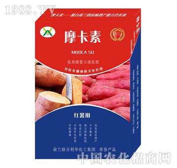 t팣(zhun)ðҺķ-Ħ-(qing)о(gu)H