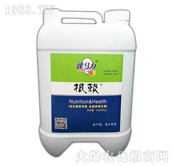 根賴-速馬力-中澳西農(nóng)