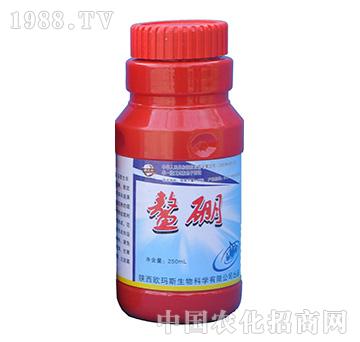 鰲硼-歐瑪斯