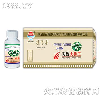 50g��辴�����-�挚�r(n��ng)��