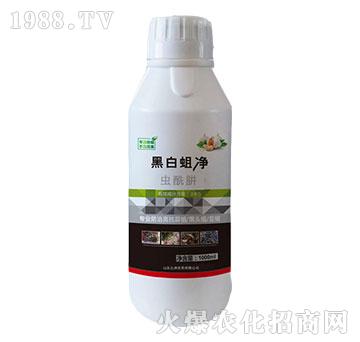 20%x(chng)-ڰ-읙(rn)