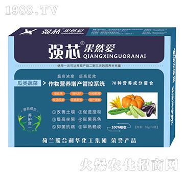 瓜類蔬菜專用強芯果然愛葉面肥-強芯國際