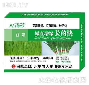 韭菜嫩直增綠長(zhǎng)的快-北美農(nóng)大