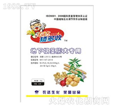 地下根莖膨大專用-農(nóng)達(dá)生化